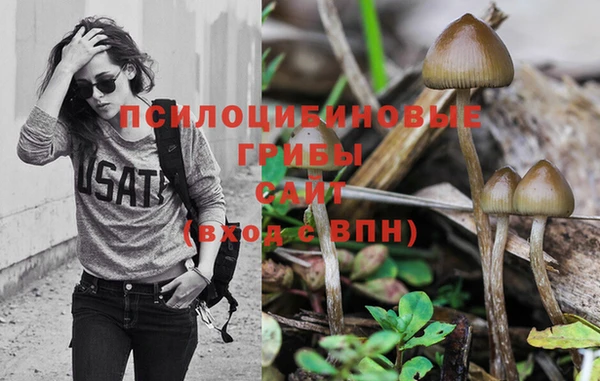 ГАЛЛЮЦИНОГЕННЫЕ ГРИБЫ Абинск